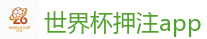 2026世界杯专业体育赛事投注平台
